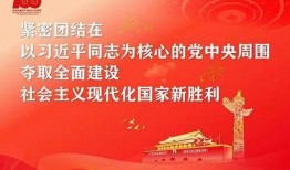 惠州学生爆料新闻最新,校园食品安全问题引发关注